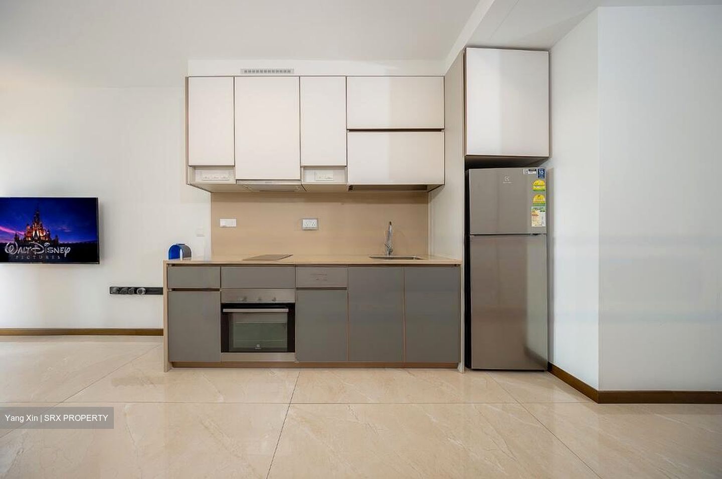 Normanton Park (D5), Apartment #452079631